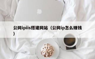 资阳公网ipiis搭建网站（公网ip怎么赚钱）