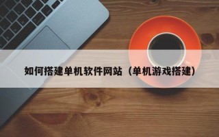 资阳如何搭建单机软件网站（单机游戏搭建）